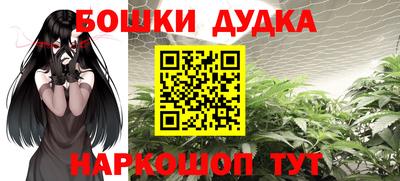 прущие грибы Новозыбков