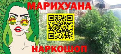 прущие грибы Новозыбков