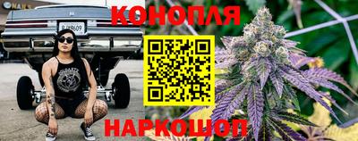 прущие грибы Новозыбков