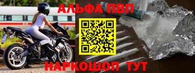 прущие грибы Новозыбков